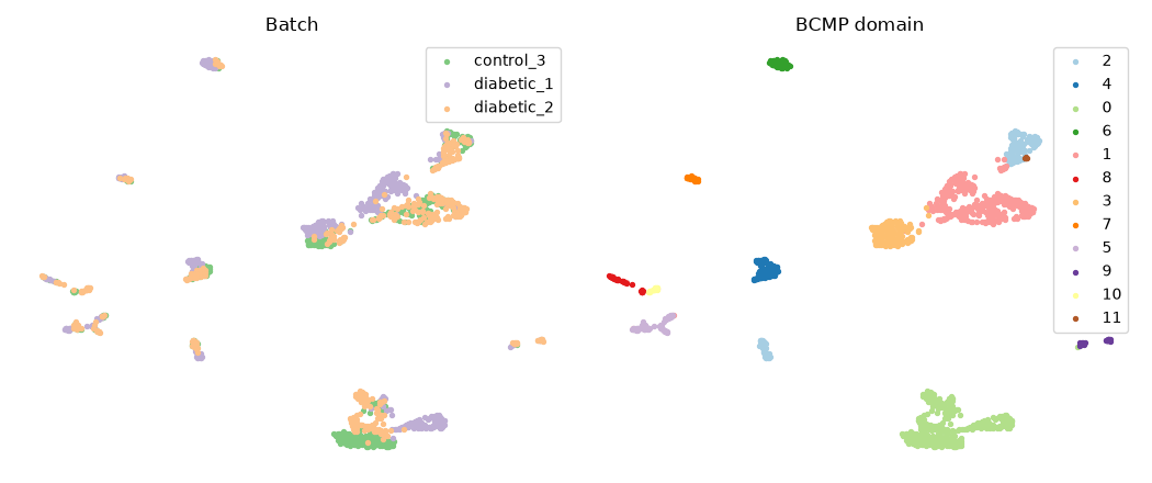 Batch, BCMP domain